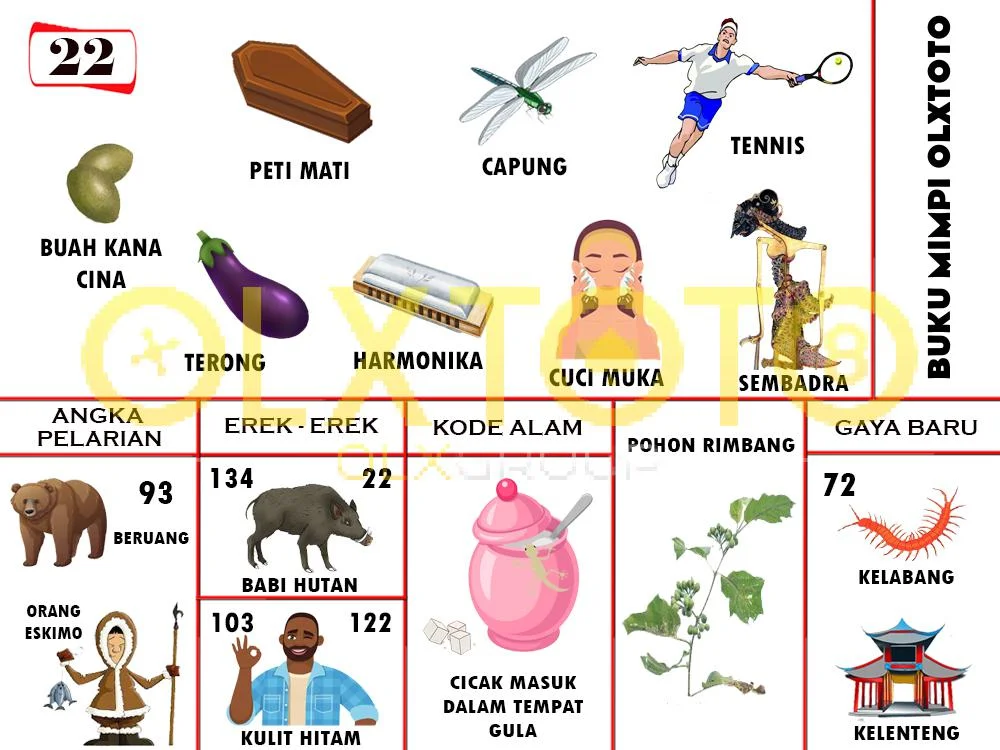 buku mimpi erek erek togel 22